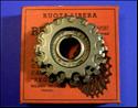 Regina G. S. Corse (5 speed, gold)