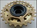 Regina Synchro 90 (6 speed, gold)