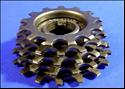 Regina G. S. Corse (5 speed, gold)