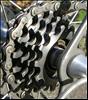 Regina Titanio (5 speed)