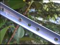 Weinmann AG A129 Concave