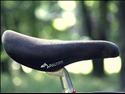 Selle Royal Dolphin
