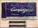 Campagnolo dropout adjuster screws