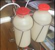 Coloral Double water bottle carrier