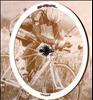 Campagnolo Shamal (clincher)