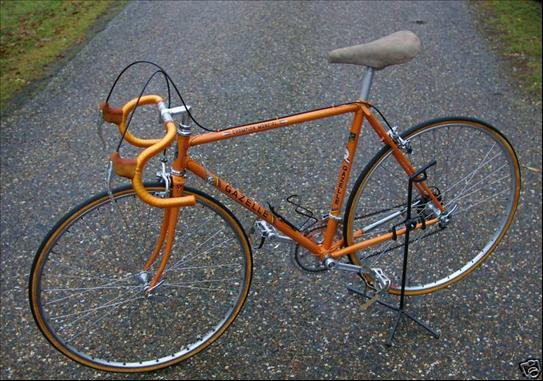 Gazelle Bike Serial Number