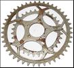 Cyclo Rosa