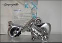 Campagnolo RD-13IC, Icarus (long cage)