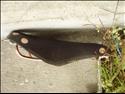 Brooks Professional S (Small)
