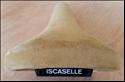 Iscaselle ISCA
