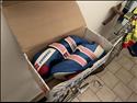 Carrera Shoes